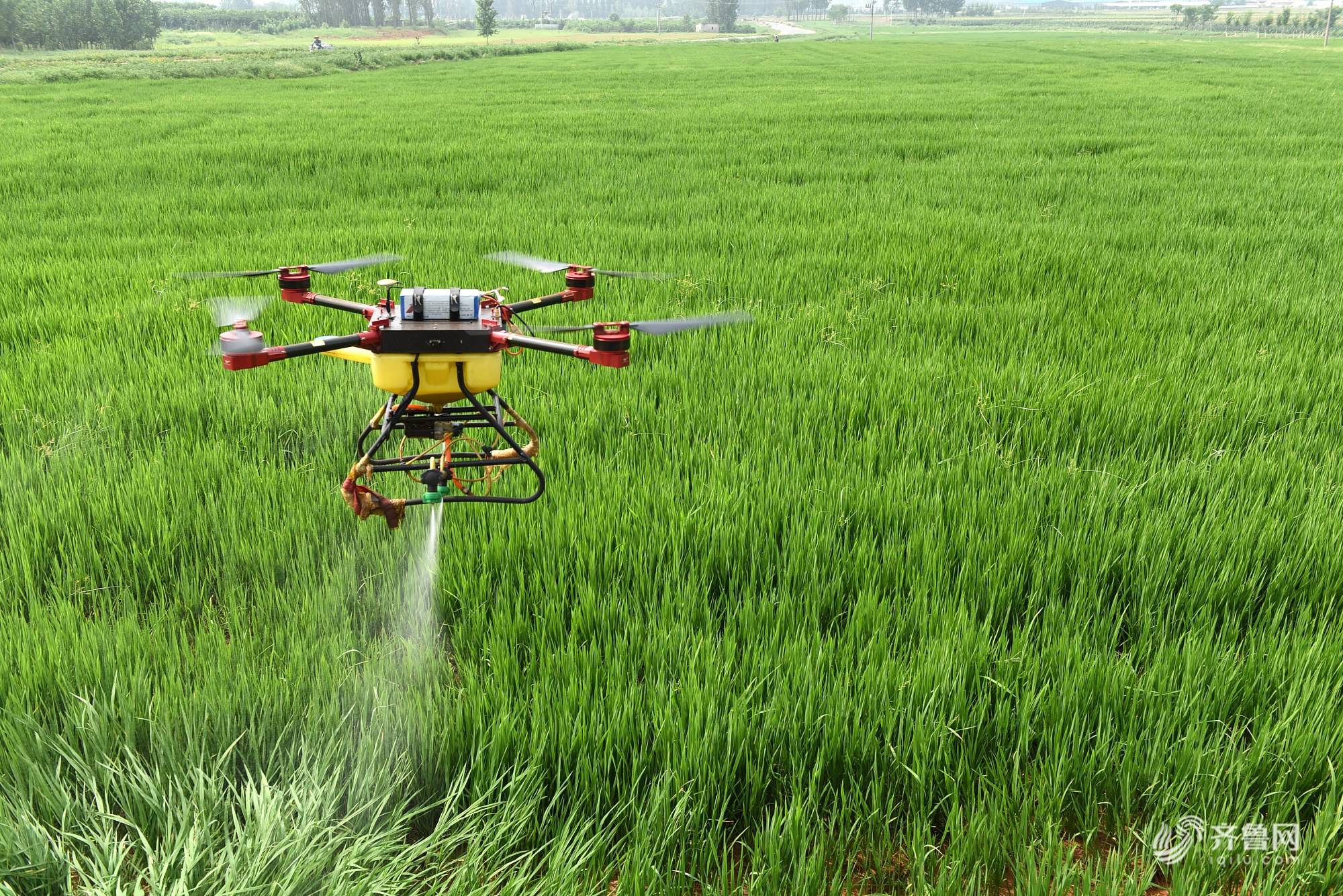 無人機(jī)打農(nóng)藥，這是把雙刃劍！